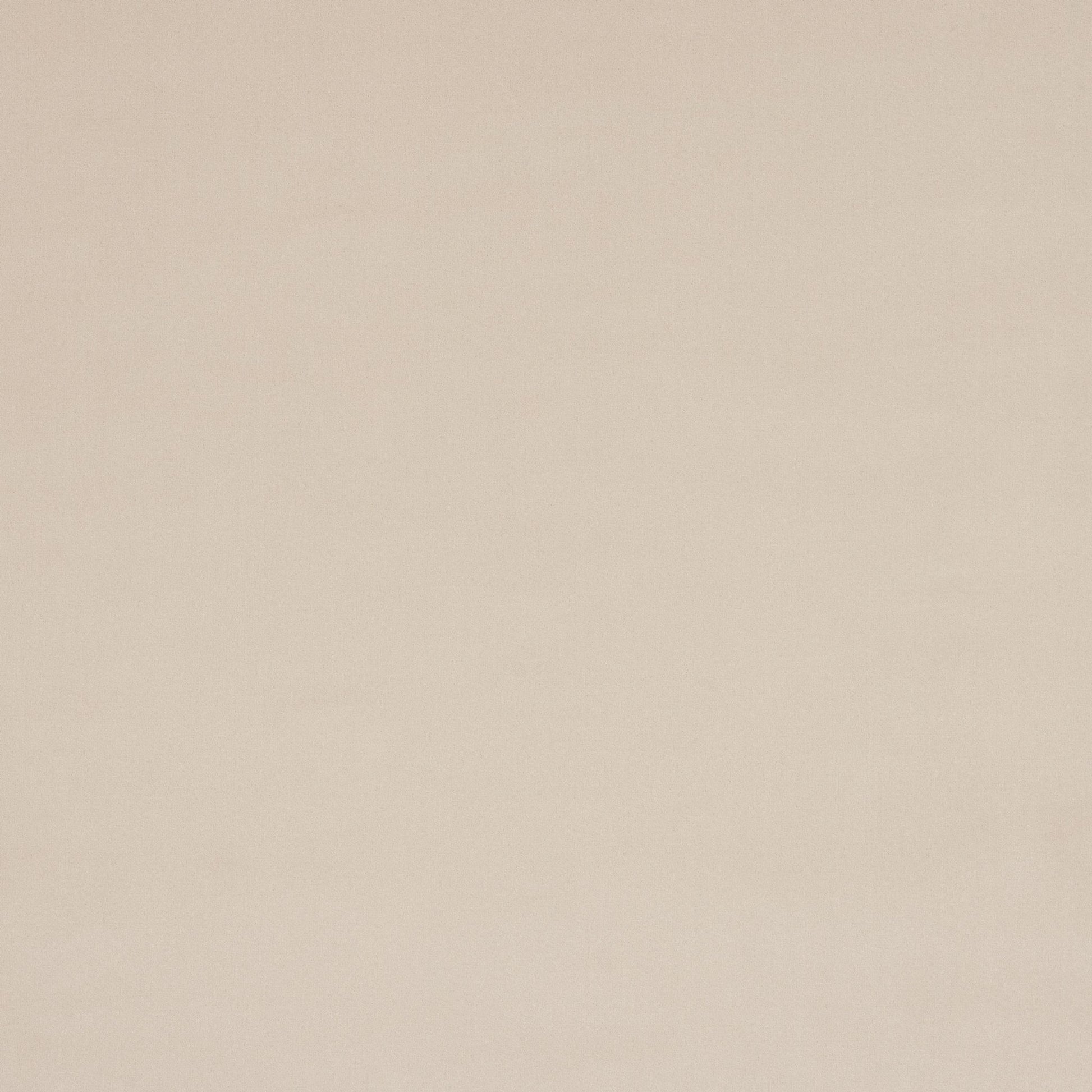 Vito Fabric - Grege - Manuel Canovas - M4160-03 - Premier Wallcovering