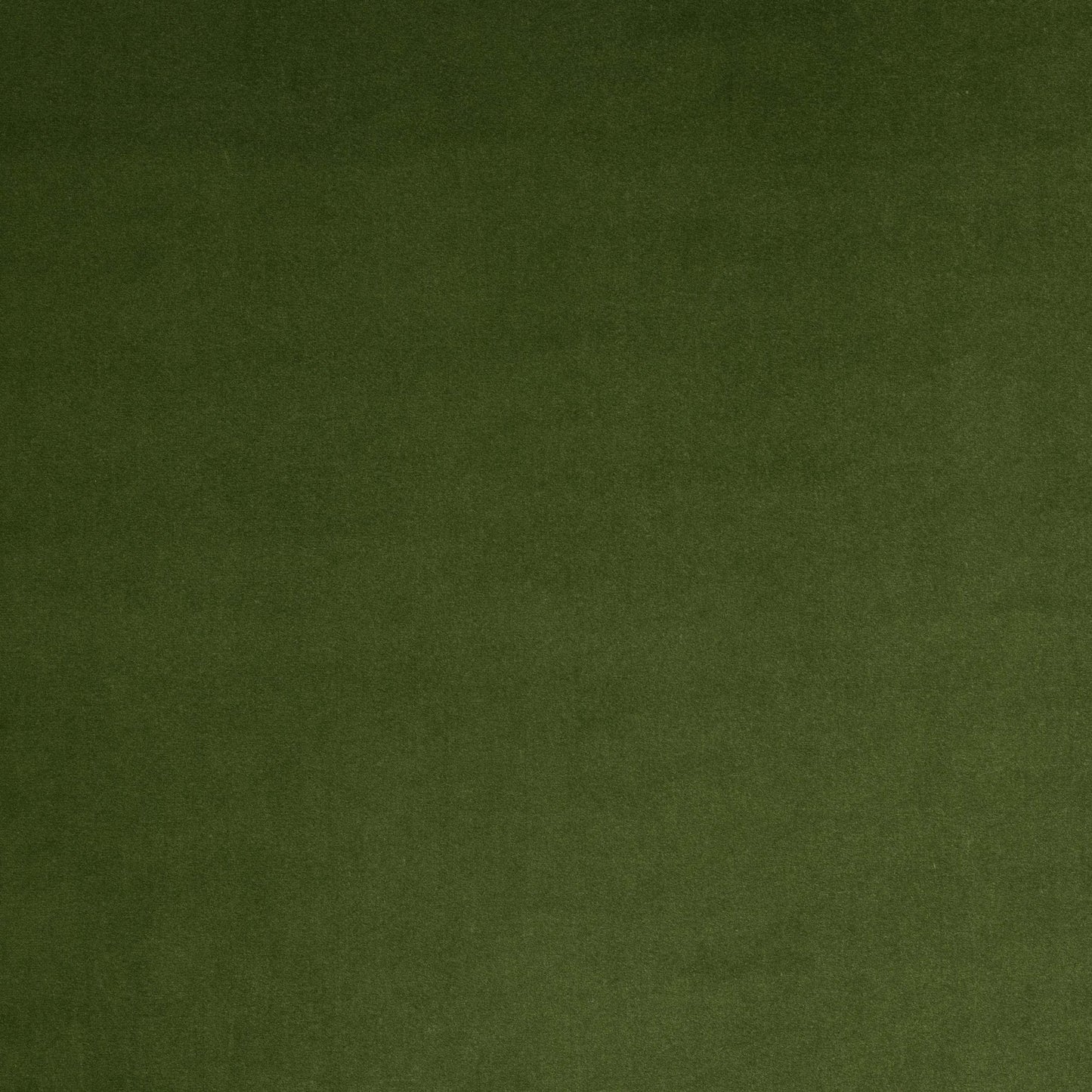 Vito Fabric - Foret - Manuel Canovas - M4160-10 - Premier Wallcovering