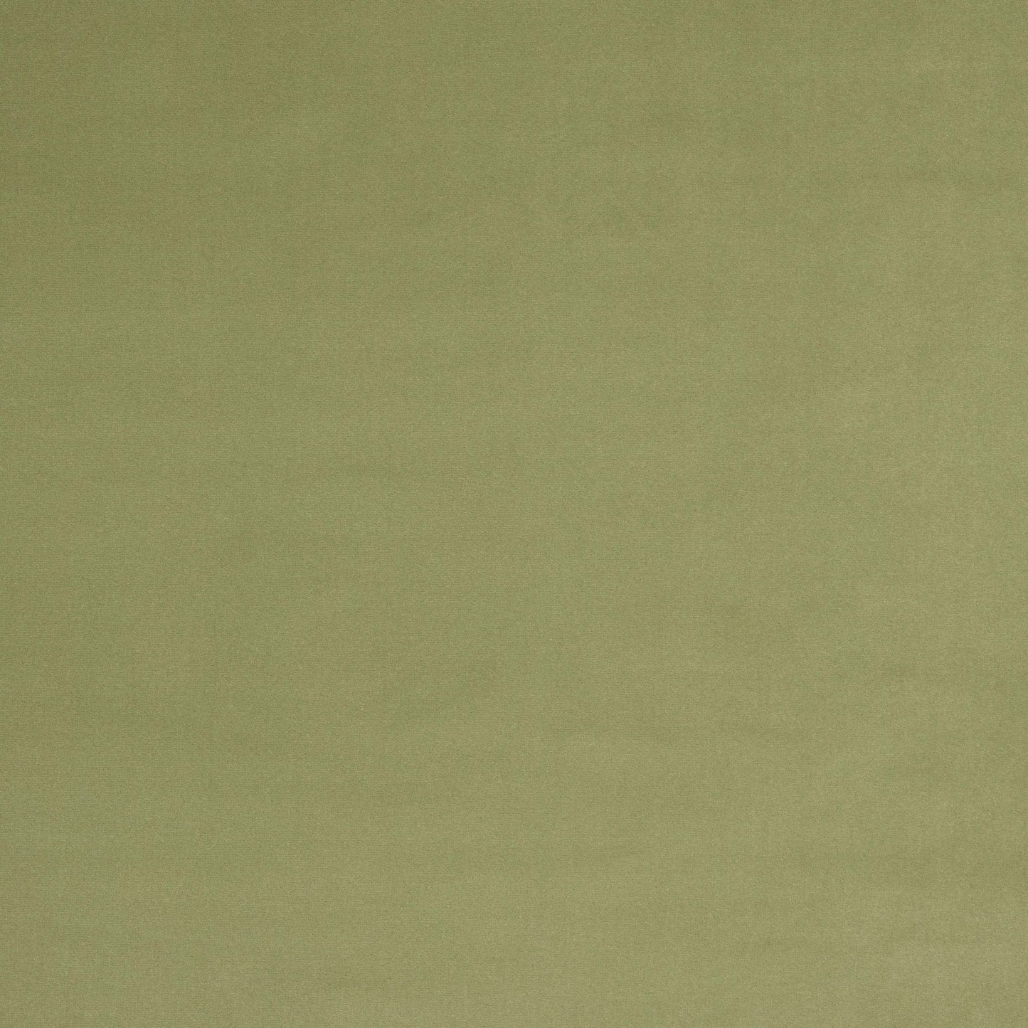 Vito Fabric - Sauge - Manuel Canovas - M4160-12 - Premier Wallcovering