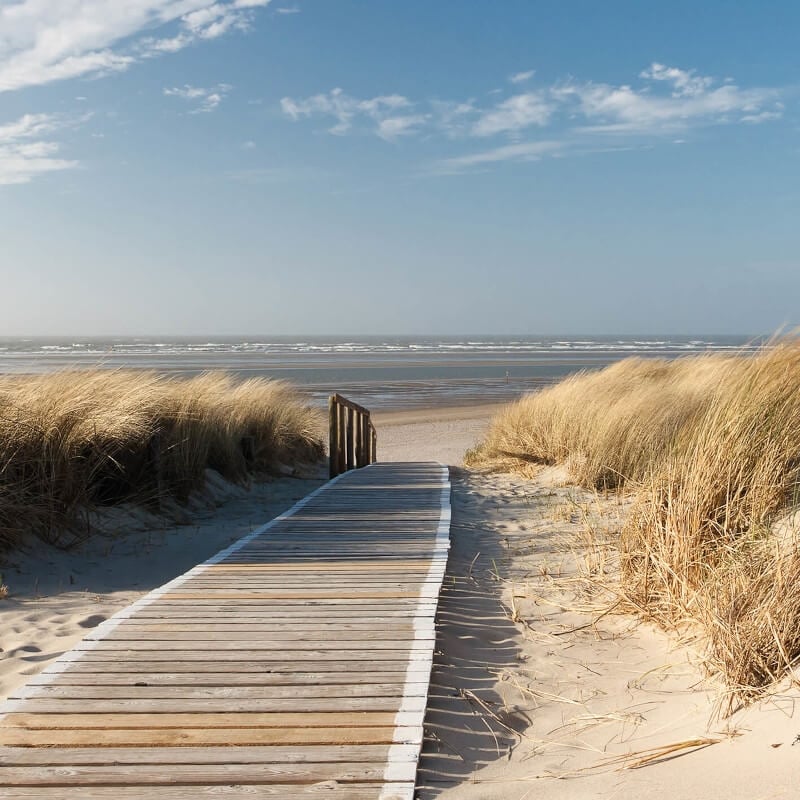 By the Seaside Wall Mural - Blue - Anaglypta - 5437-4 - Premier Wallcovering