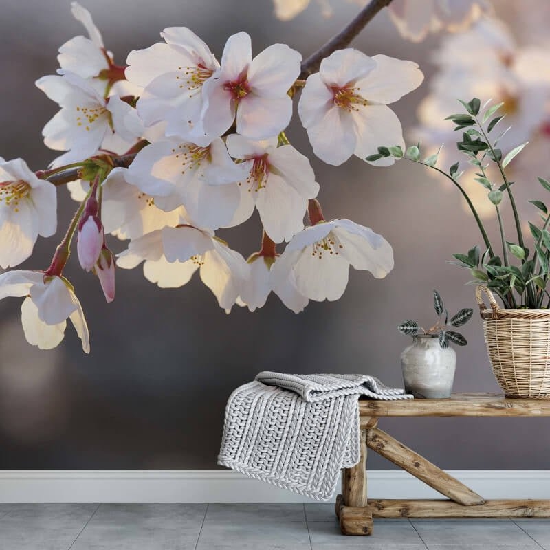 Cherry Blossoms Wall Mural - Multi - Anaglypta - 5494-8 - Premier Wallcovering