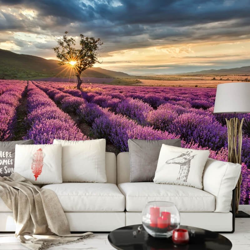 Lavender in the Provence Wall Mural - Lavender - Anaglypta - 5484-8 - Premier Wallcovering