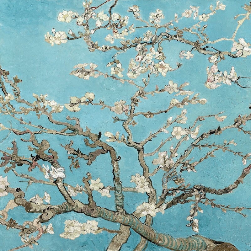 Van Gogh Almond Blossom Wall Mural - Blue - Anaglypta - 5454-8 - Premier Wallcovering