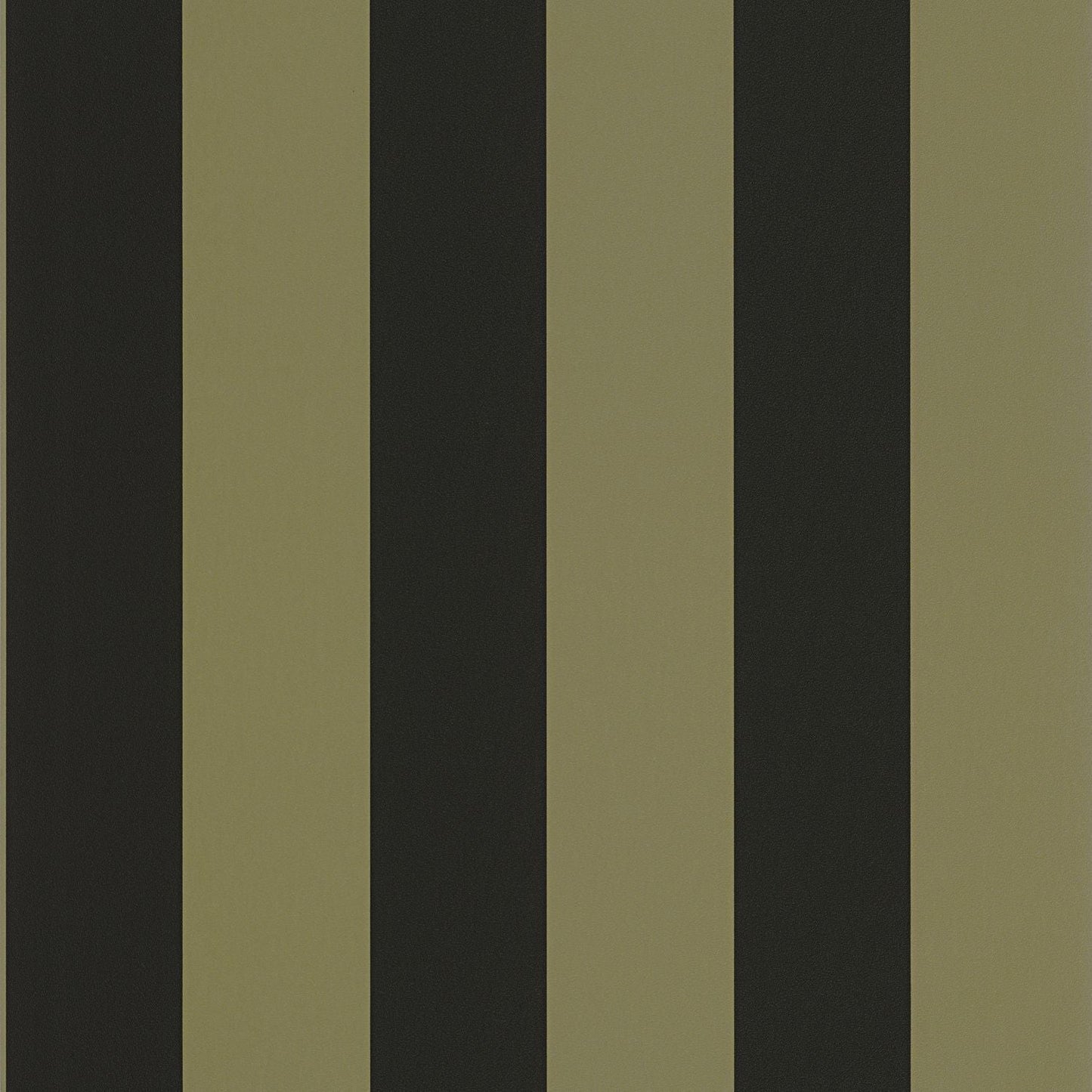 Wide Lines Wallpaper - Olive Noir - Caselio - 104027390 - Premier Wallcovering