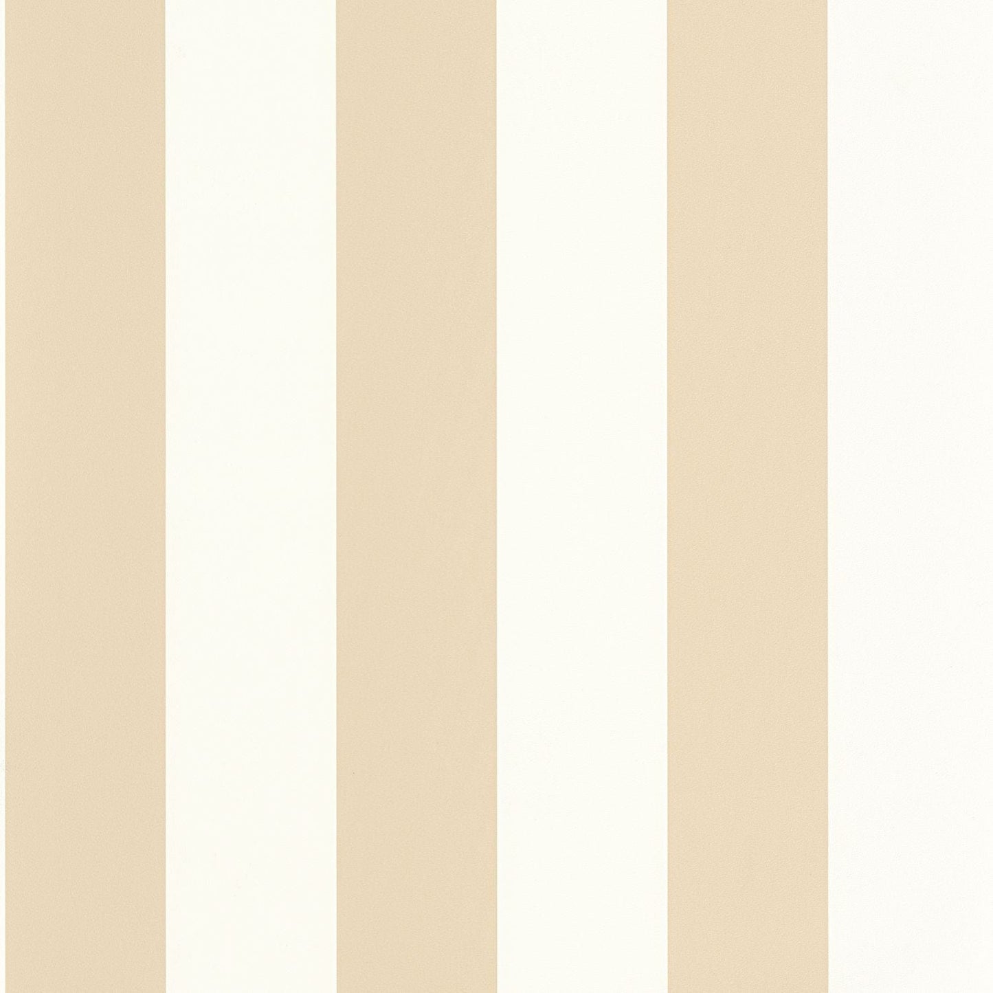 Wide Lines Wallpaper - Beige - Caselio - 104021050 - Premier Wallcovering