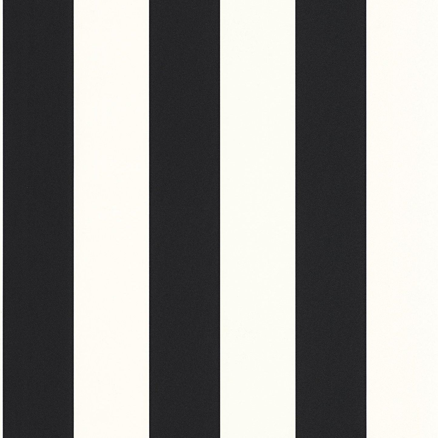 Wide Lines Wallpaper - Noir - Caselio - 104029290 - Premier Wallcovering