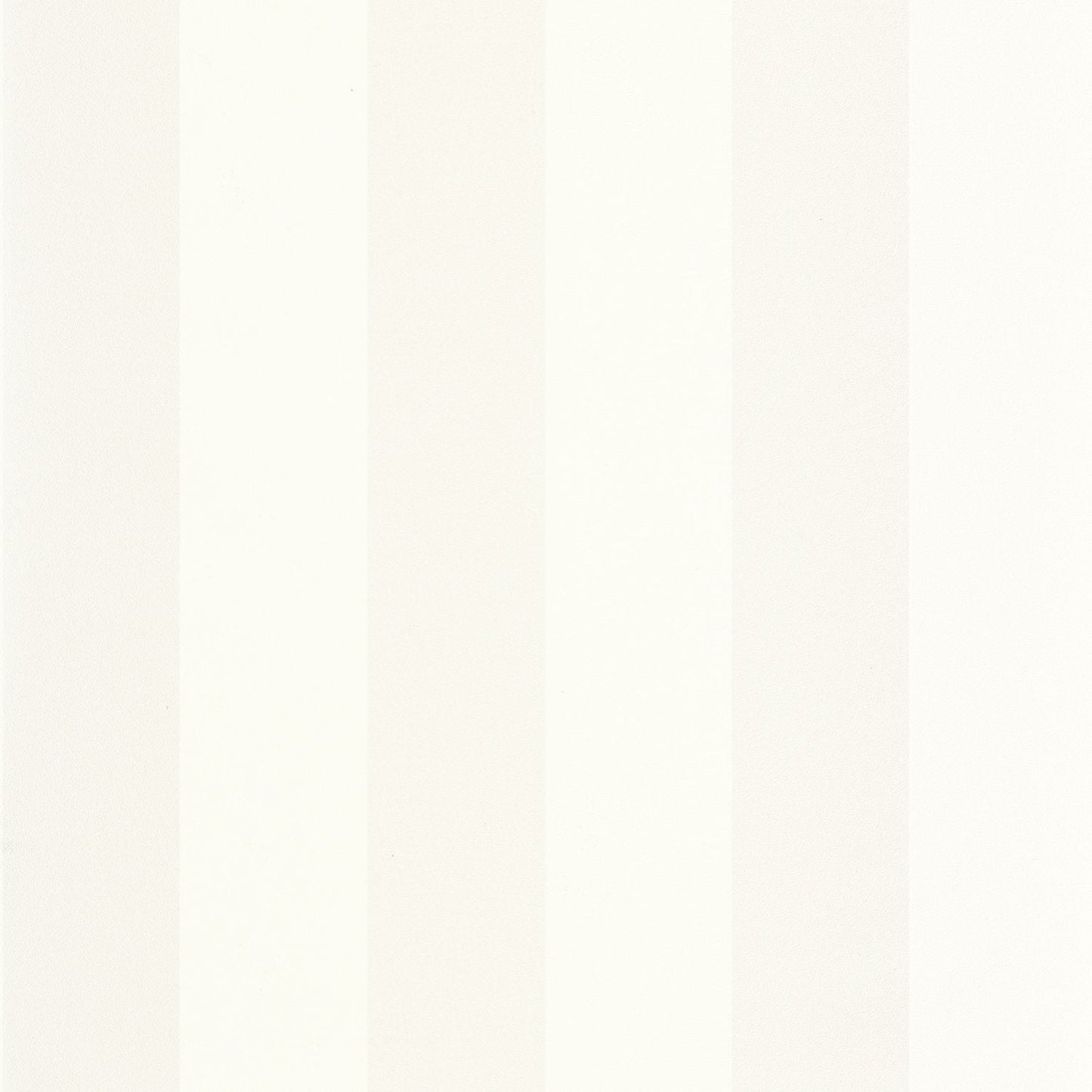 Wide Lines Wallpaper - Blanc - Caselio - 104020000 - Premier Wallcovering