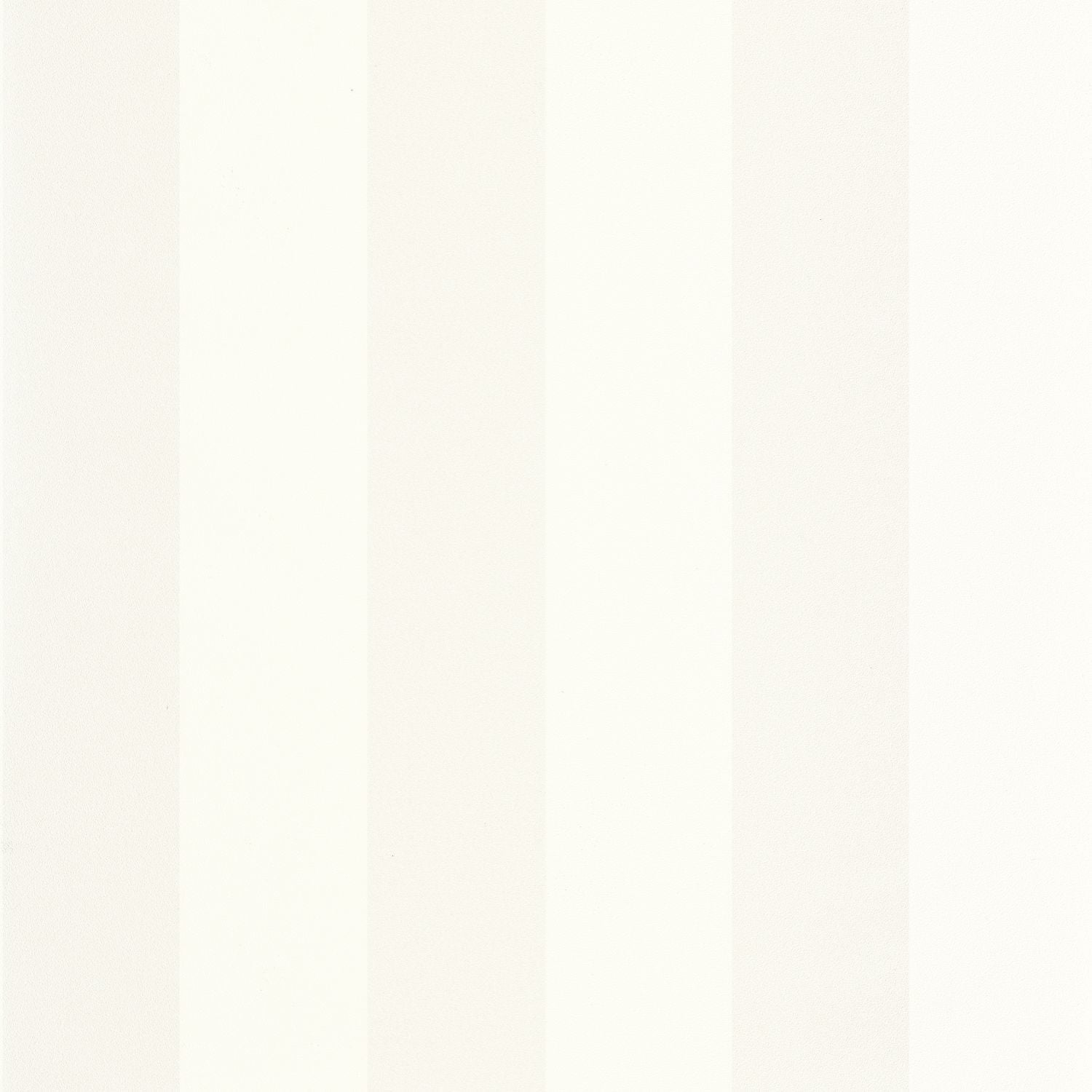 Wide Lines Wallpaper - Blanc - Caselio - 104020000 - Premier Wallcovering
