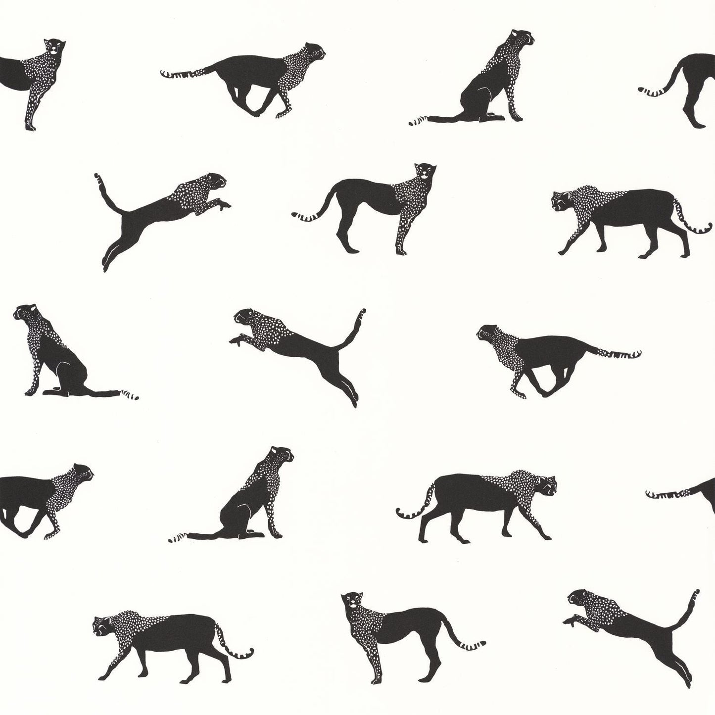 Wild Forest Wallpaper - Noir Blanc - Caselio - 101140096 - Premier Wallcovering