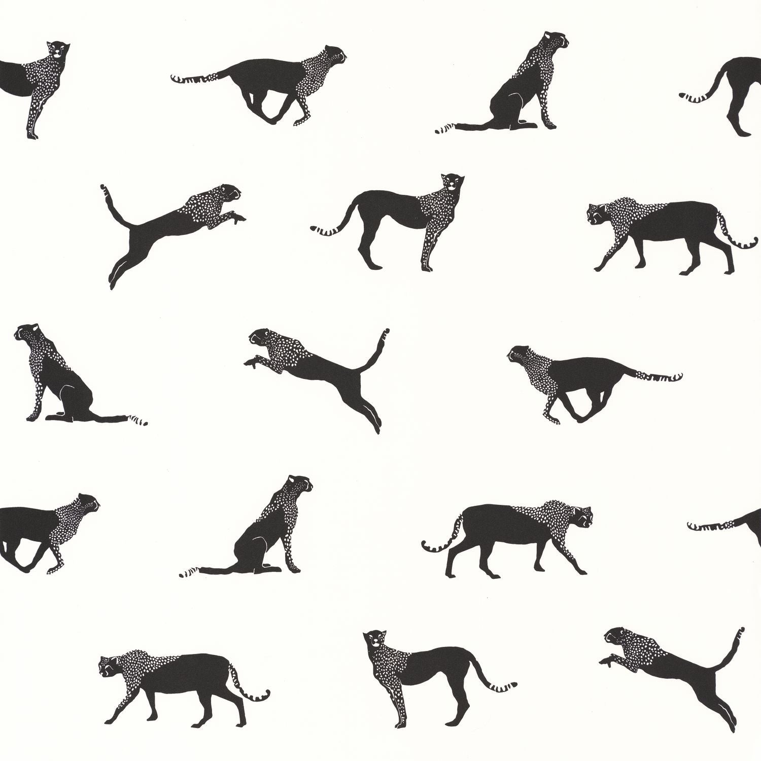 Wild Forest Wallpaper - Noir Blanc - Caselio - 101140096 - Premier Wallcovering