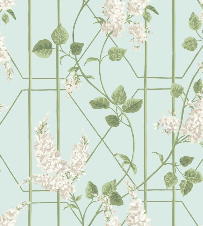 Wisteria Wallpaper - Stone & Olive on Duck Egg - 115/5014 - Cole & Son - Premier Wallcovering