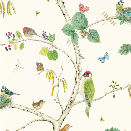 Woodland Chorus Wallpaper - Botanical/Multi - DABW217230 - Sanderson - Premier Wallcovering