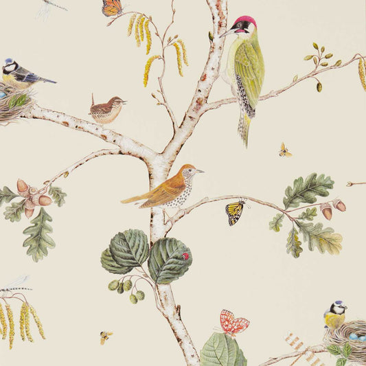 Woodland Chorus Wallpaper - Cream/Multi - DWOW215703 - Sanderson - Premier Wallcovering