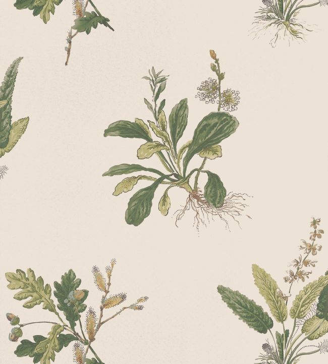 Woodland Wallpaper - Green on Natural - AT57853 - Anna French - Premier Wallcovering
