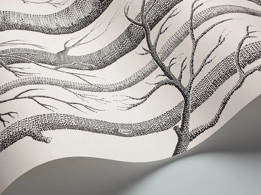 Woods Wallpaper - Black on White - 69/12147 - Cole & Son - Premier Wallcovering