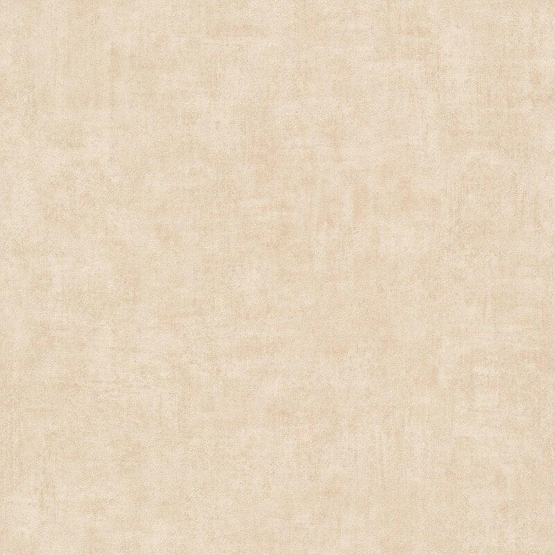 Young Edition Plain Wallpaper - Cream - Grandeco - A51511 - Premier Wallcovering