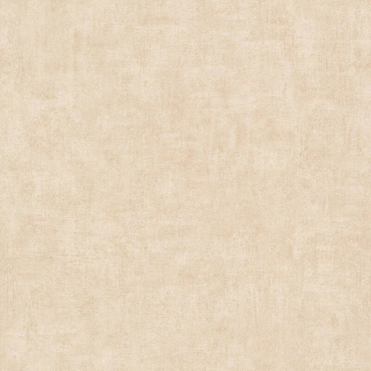 Young Edition Plain Wallpaper - Cream - Grandeco - A51511 - Premier Wallcovering