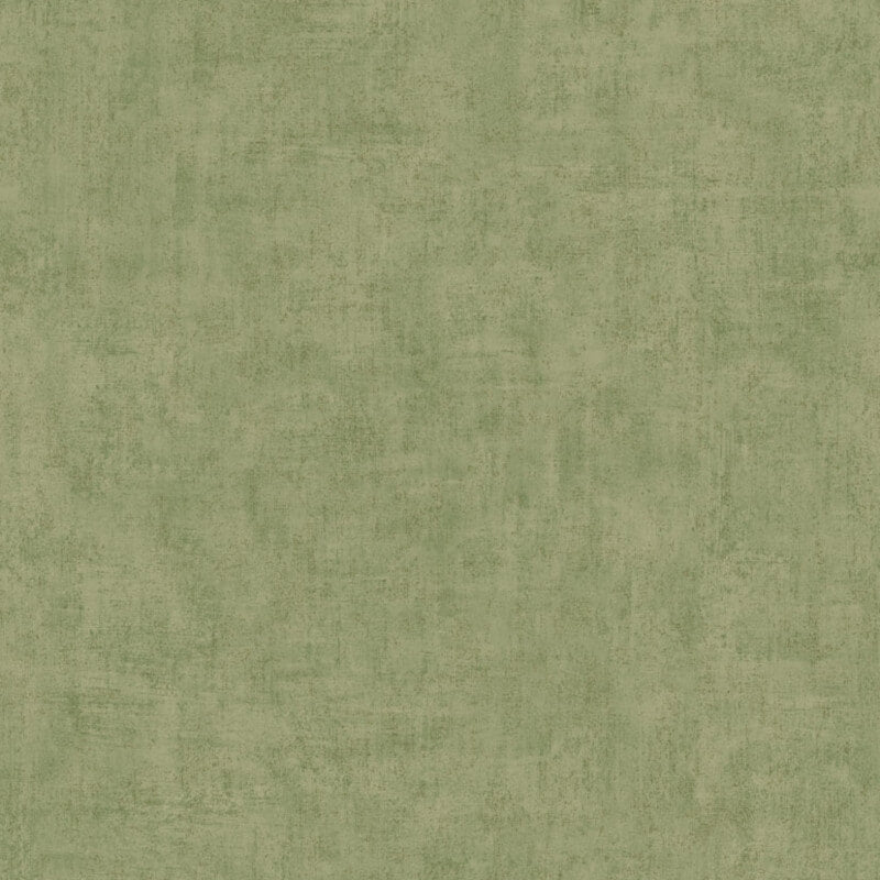 Young Edition Plain Wallpaper - Green - Grandeco - A51515 - Premier Wallcovering
