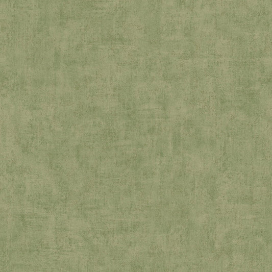 Young Edition Plain Wallpaper - Green - Grandeco - A51515 - Premier Wallcovering