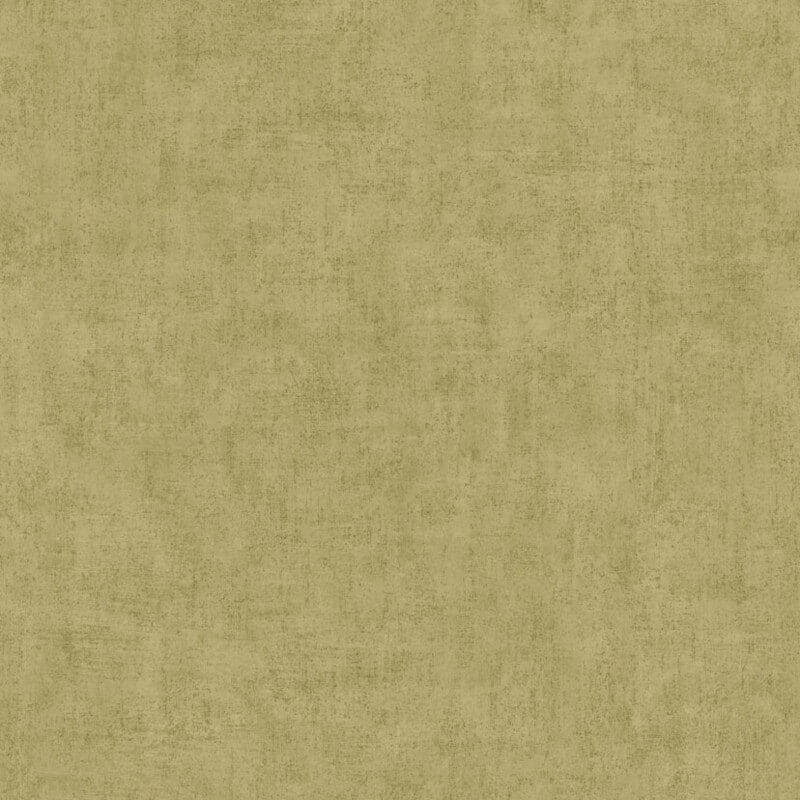 Young Edition Plain Wallpaper - Light Green - Grandeco - A51514 - Premier Wallcovering