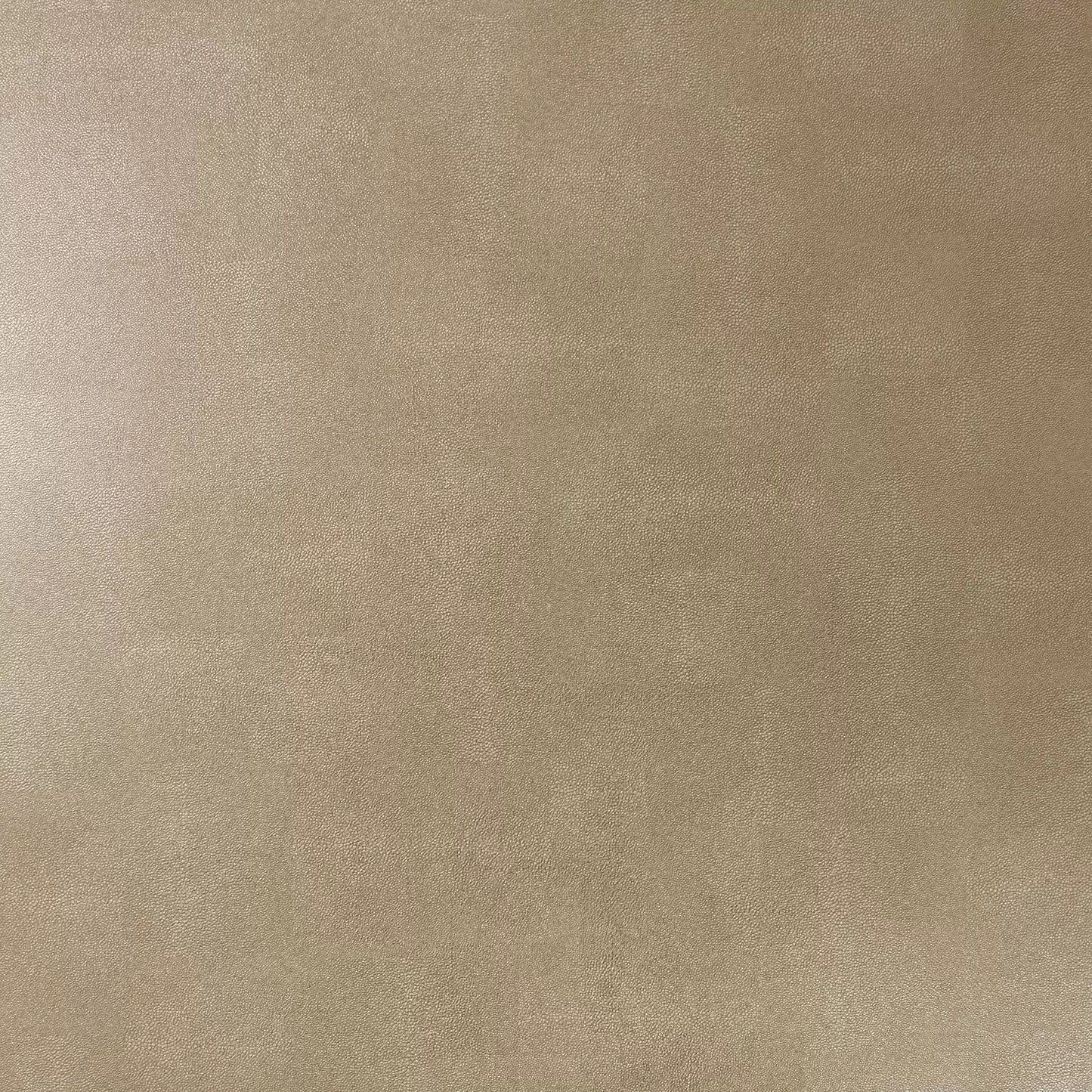 Zingrina Wallpaper - Gold - Osborne & Little - W6582-08 - Premier Wallcovering