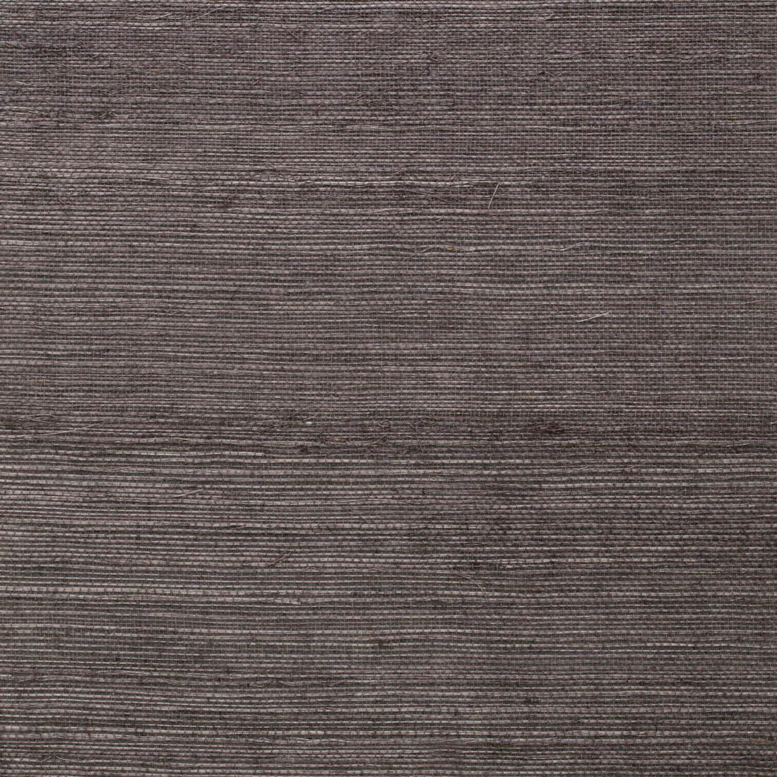 Zulu Wallpaper - Spider - Andrew Martin - ECZUSP - Premier Wallcovering